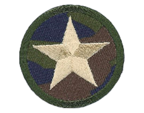 MILITARY BADGES