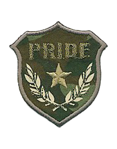 MILITARY BADGES