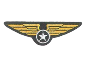 MILITARY BADGES