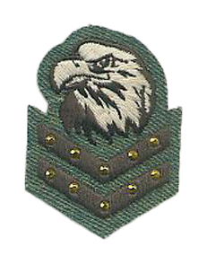 MILITARY BADGES