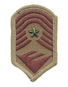 MILITARY BADGES