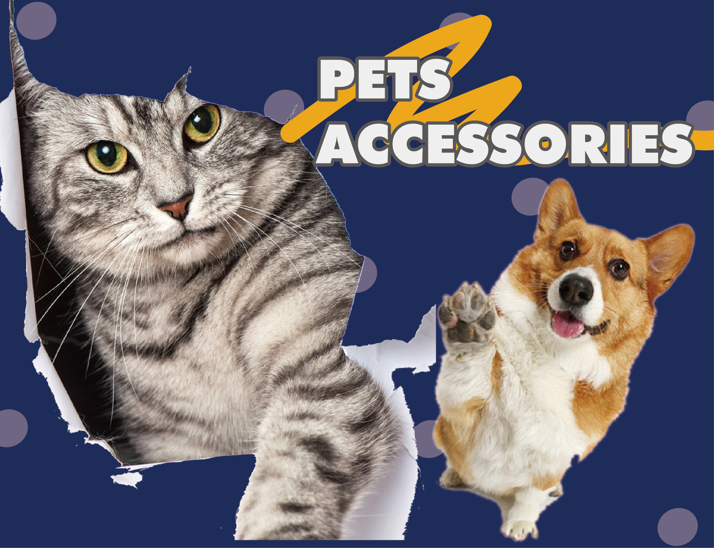 PETS ACCESSORIES